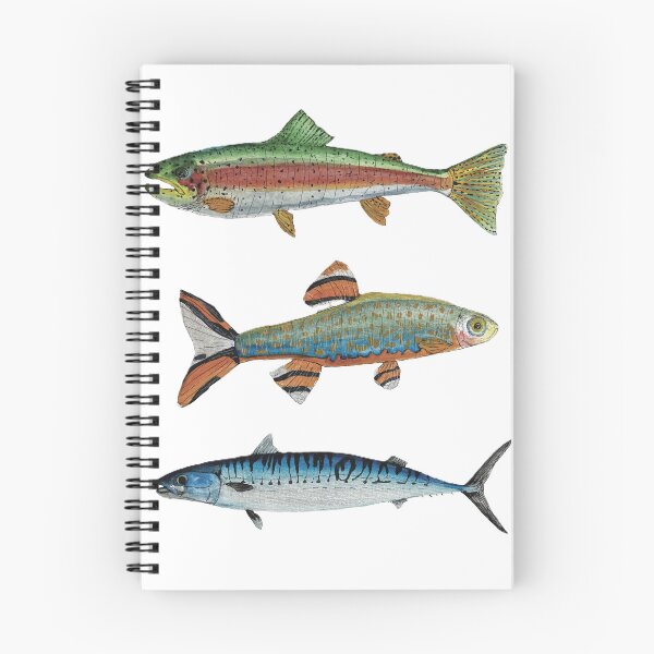 Item preview, Three Fish Art Print designed and sold by Tidal Wonder Studio.