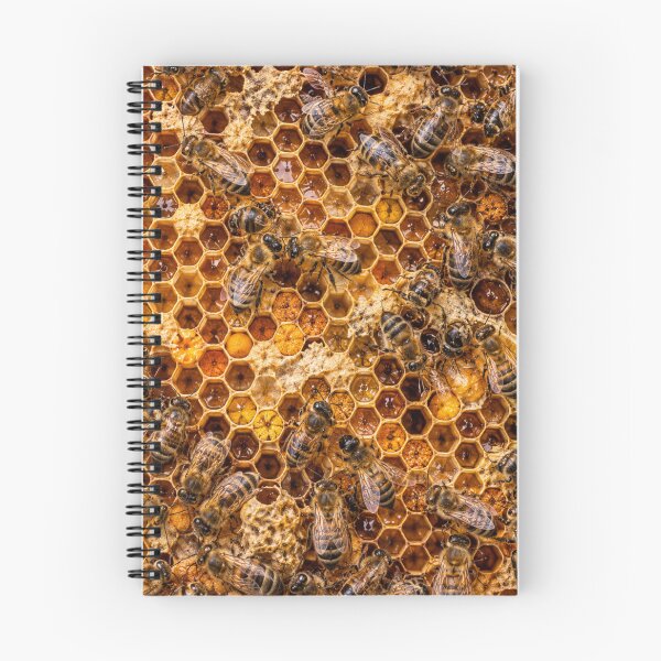 Item preview, Honeybee Hive Macro – Golden Honeycomb designed and sold by GSizzle1.