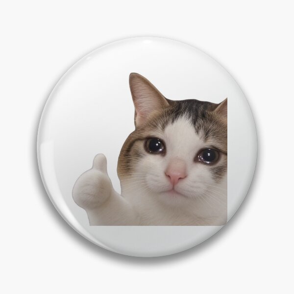 Item preview, Funny Viral TikTok Meme Sticker designed and sold by aestheticcsss.