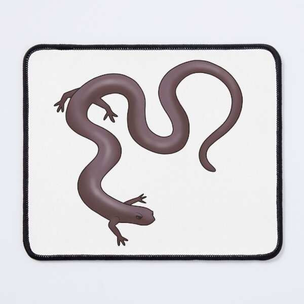 Item preview, Common Worm Salamander designed and sold by Sonderdaisies.