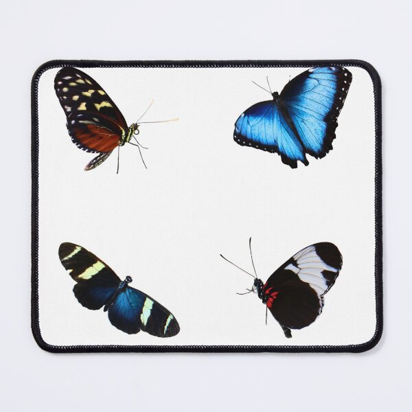 Item preview, Butterfly Lounge designed and sold by Lee Darnell.