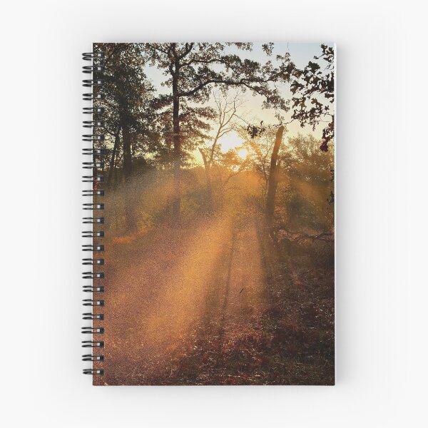 Item preview, Sunlight on Dawn designed and sold by Baulmonart.