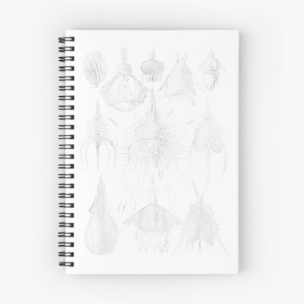 Item preview, Vintage Haeckel Cyrtoidea Radiolaria Tee T-shirt T-Shirt designed and sold by gidget-gadget.