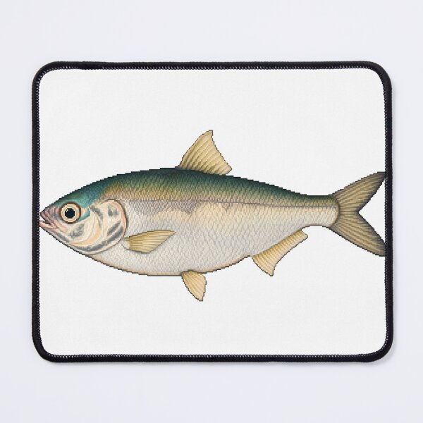 Item preview, Pixel Art 1830 Clupea Indica Herring Cutout designed and sold by aigcx.