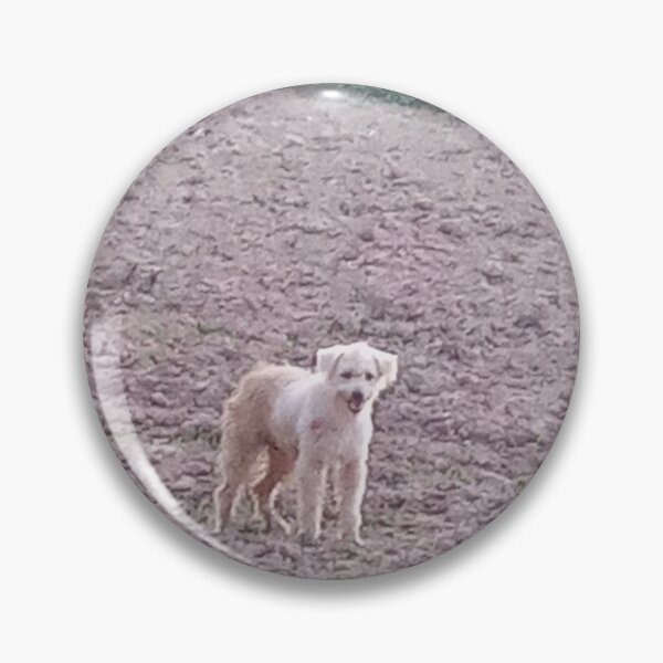 Item preview, Cute Fluffy Dog in Rural Farmland designed and sold by Ployphaiphai .