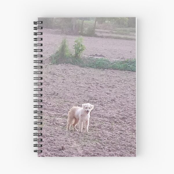 Item preview, Cute Fluffy Dog in Rural Farmland designed and sold by Ployphaiphai .