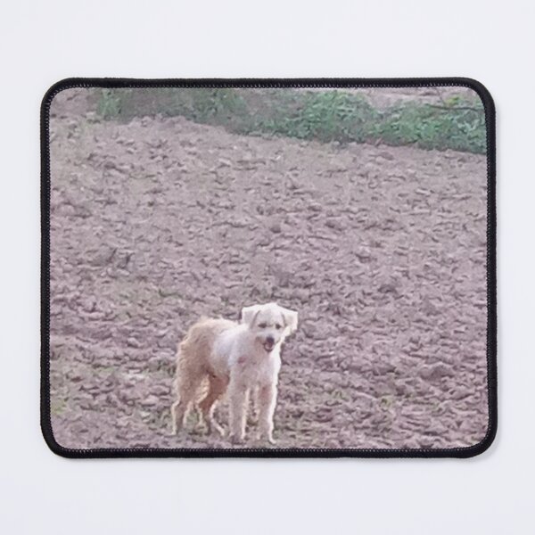 Item preview, Cute Fluffy Dog in Rural Farmland designed and sold by Ployphaiphai .