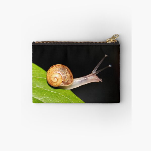 Item preview, 1cm Baby Snail designed and sold by AnnDixon.