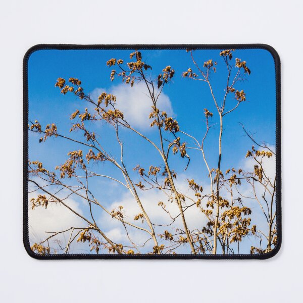 Item preview, Bare Tree Branches Reaching Toward A Bright Blue Sky With Sparse Golden Leaves designed and sold by Nmallia.