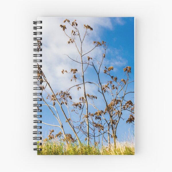 Item preview, Bare Trees Silhouetted Against Bright Blue Sky With Dry Branches and Grassy Foreground designed and sold by Nmallia.