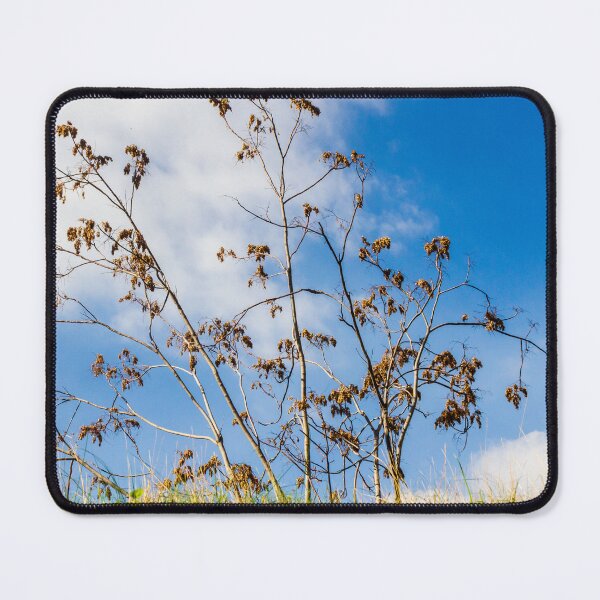 Item preview, Bare Trees Silhouetted Against Bright Blue Sky With Dry Branches and Grassy Foreground designed and sold by Nmallia.