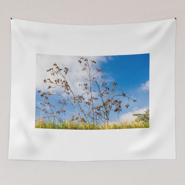 Item preview, Bare Trees Silhouetted Against Bright Blue Sky With Dry Branches and Grassy Foreground designed and sold by Nmallia.