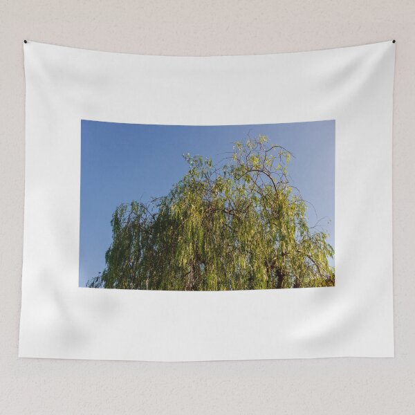 Item preview, Weeping Willow Tree Under Clear Blue Sky in Outdoor Landscape Scene designed and sold by Nmallia.