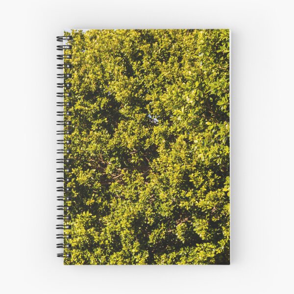 Item preview, Lush Green Hedge Canopy: Dense Foliage and Bright Outdoor Garden Scene designed and sold by Nmallia.