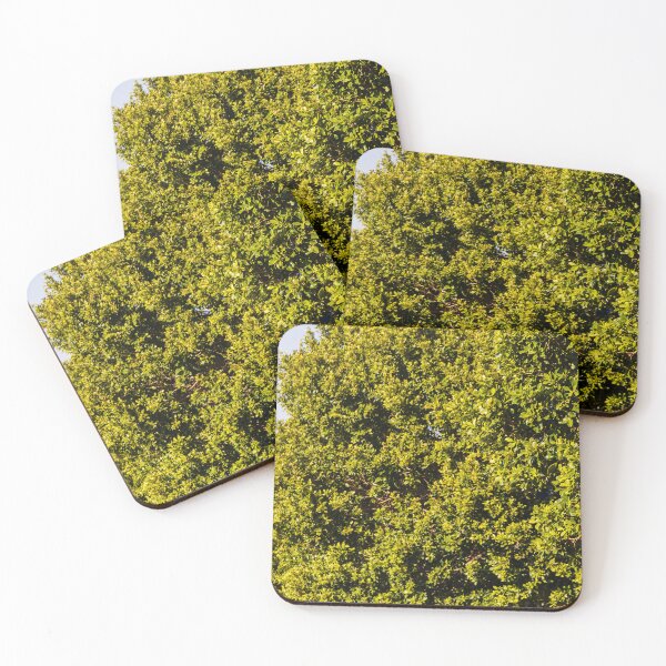 Item preview, Lush Green Hedge Canopy: Dense Foliage and Bright Outdoor Garden Scene designed and sold by Nmallia.