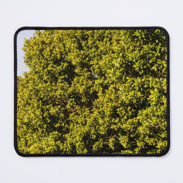 Item preview, Lush Green Hedge Canopy: Dense Foliage and Bright Outdoor Garden Scene designed and sold by Nmallia.