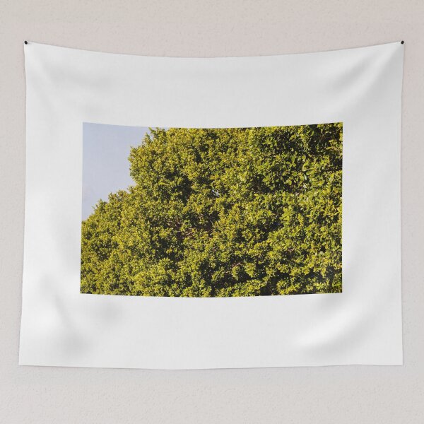 Item preview, Lush Green Hedge Canopy: Dense Foliage and Bright Outdoor Garden Scene designed and sold by Nmallia.