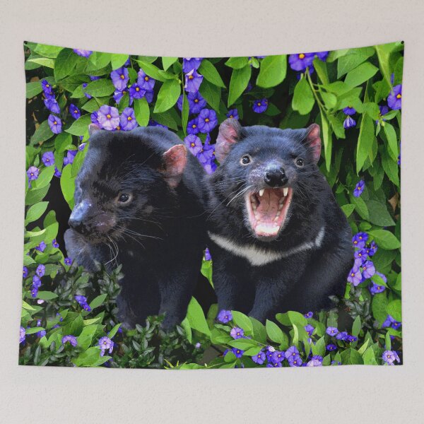 Item preview, AUSTRALIAN TASMANIAN DEVIL in HOME DECOR AND APPAREL designed and sold by Barbara Jean Photo Art And Design.