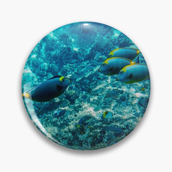Artikelvorschau, Als es noch Fische im Ozean gab entworfen und verkauft von Harold122Jade.