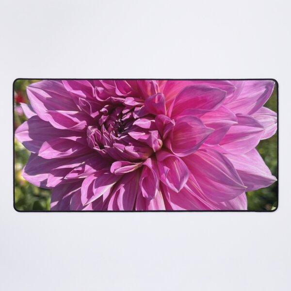 Item preview, Vibrant Pink Dahlia Flower Art designed and sold by ZorianArt.