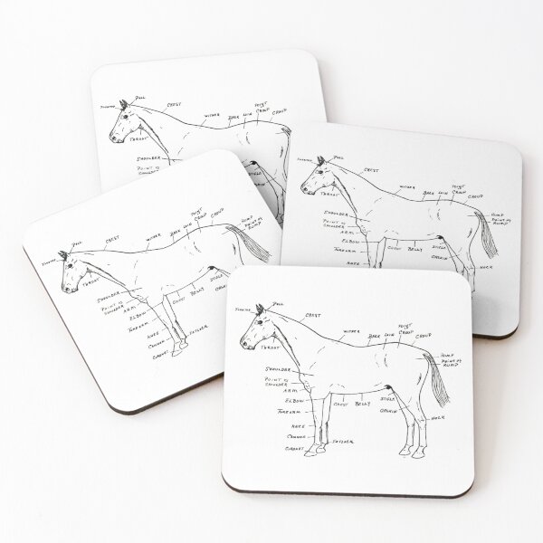 Item preview, Horse Anatomy Diagram designed and sold by ktthegreat.