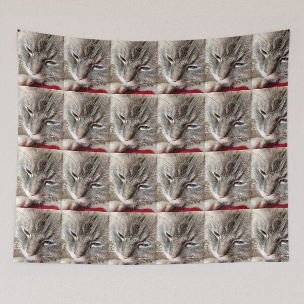 Aperçu de l'œuvre Sleepy Cat créée et vendue par Carol Bleasdale.