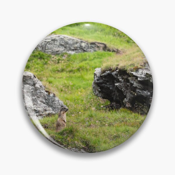 Item preview, Marmot Among the Alpine Rocks designed and sold by alicjamiekina.
