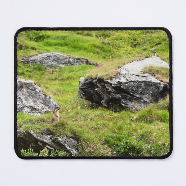 Item preview, Marmot Among the Alpine Rocks designed and sold by alicjamiekina.
