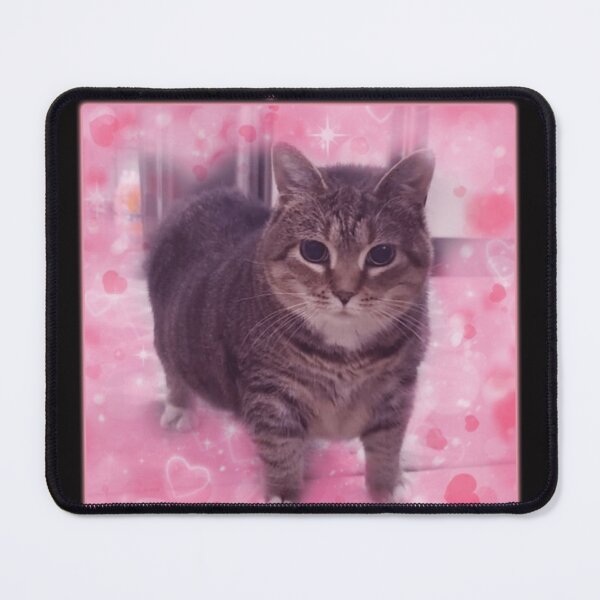 Item preview, Microplastics In Body Funny Cat Meme designed and sold by UzanneWasilius1.