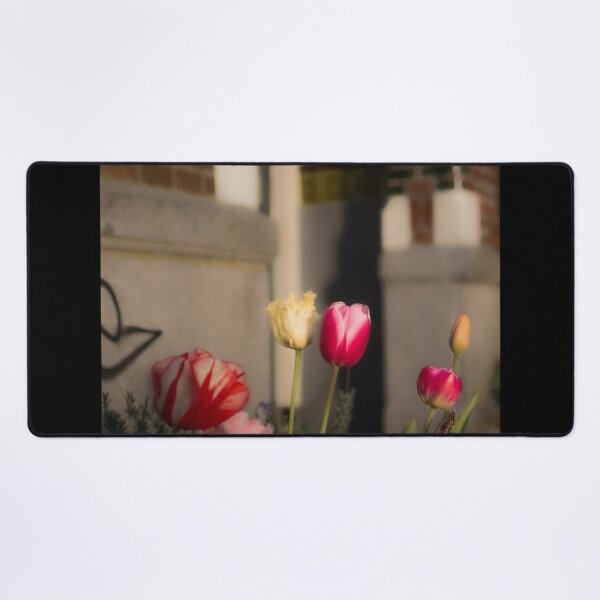 Item preview, Brilliant No Parking aNeon Colors Glow designed and sold by Malipiknik.