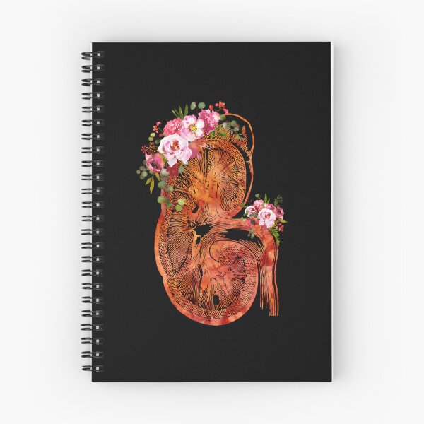 Item preview, Kidney Section designed and sold by jojoan8ux.