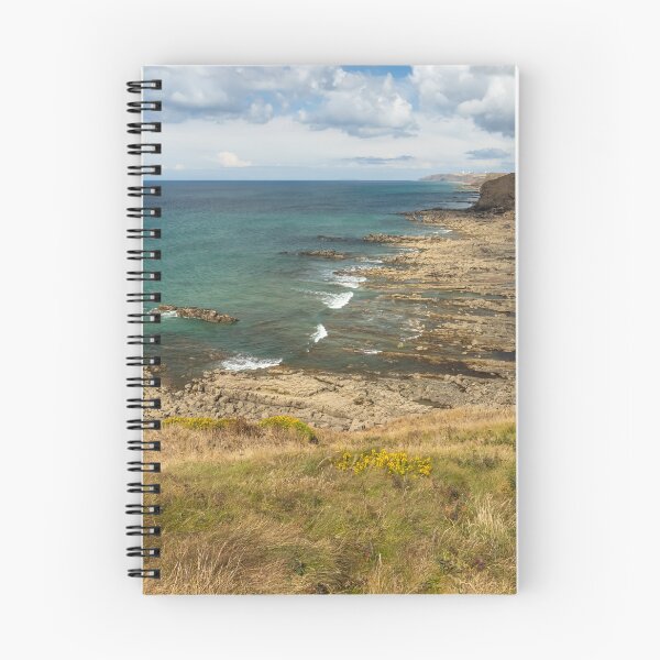 Item preview, Widemouth Bay Coastal Path Views designed and sold by twymanphoto.