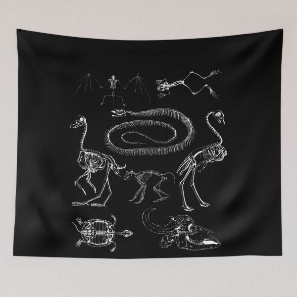 Item preview, Animal Skeleton Clothing Goblincore Aesthetic Zooarchaeology designed and sold by YasmineIngram.