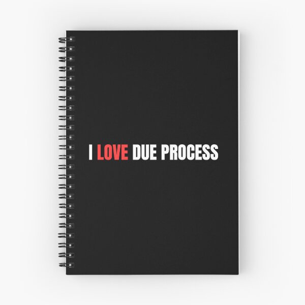 Item preview, I love due process designed and sold by Dondonmart.