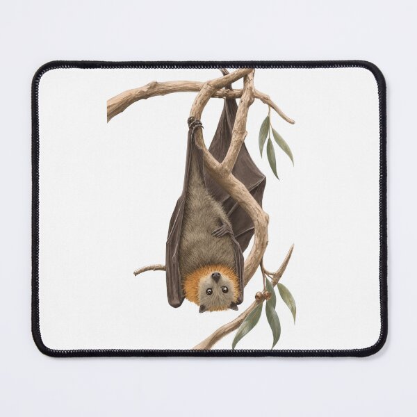 Item preview, Australian Grey-Headed Flying Fox designed and sold by SarahsArtAndCrafts.