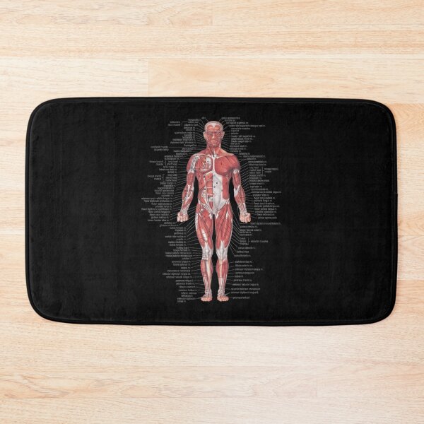 Item preview, Muscular System Of The Human Body designed and sold by terrymyra.