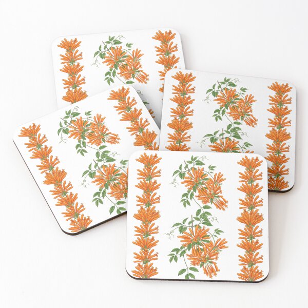 Item preview, Pyrostegia Venusta - Golden Shower Vine Botanical Illustration designed and sold by @Reikiama.