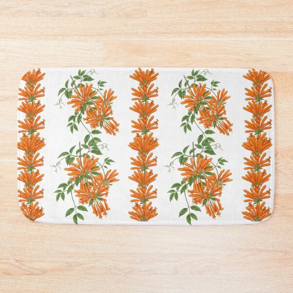 Item preview, Pyrostegia Venusta - Golden Shower Vine Botanical Illustration designed and sold by @Reikiama.