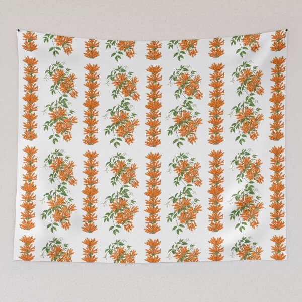 Item preview, Pyrostegia Venusta - Golden Shower Vine Botanical Illustration designed and sold by @Reikiama.