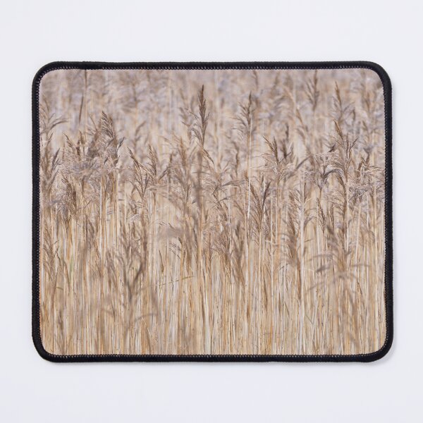 Item preview, Whispering Reeds designed and sold by David Bowman.