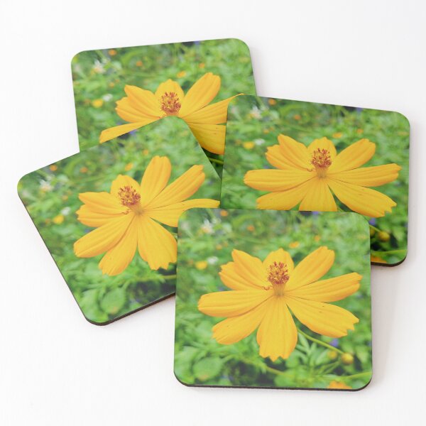 Item preview, Golden Yellow Cosmos Flower in Bloom designed and sold by Ladda Co..