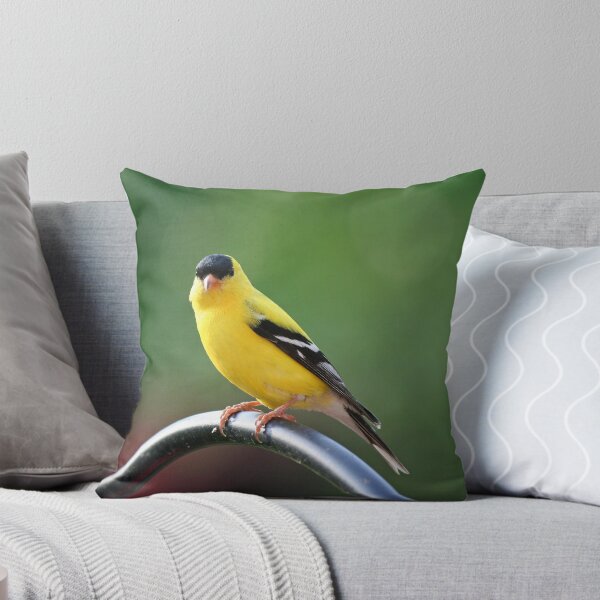 Item preview, Atticus G. Finch designed and sold by WalnutHill.