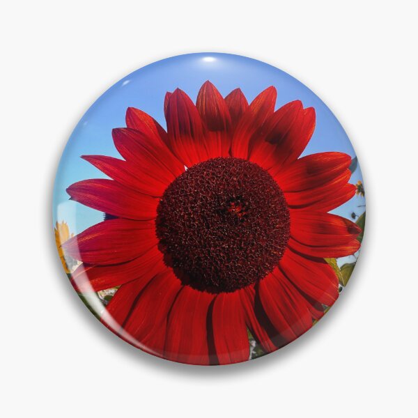 Item preview, Autumn Red Sunflower designed and sold by Youknowmeasmax.