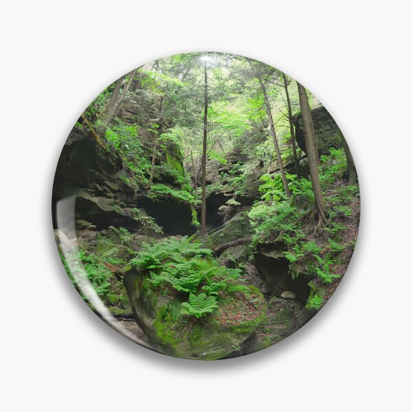Item preview, Conkle's Hollow State Nature Preserve 2 designed and sold by LisaWootenPhoto.