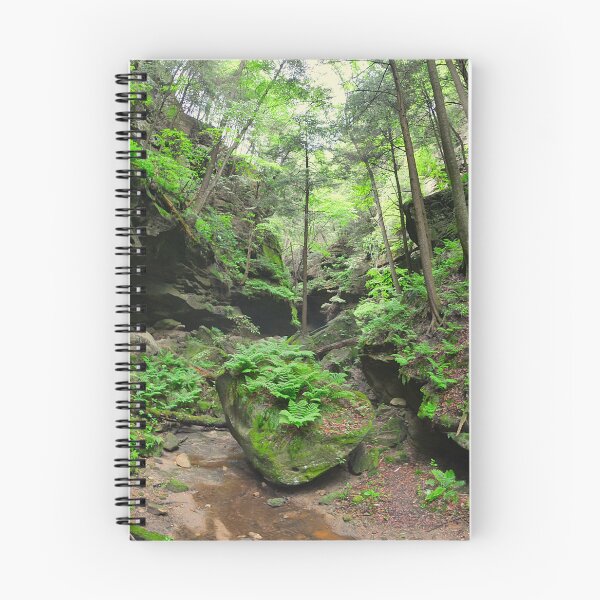 Item preview, Conkle's Hollow State Nature Preserve 2 designed and sold by LisaWootenPhoto.