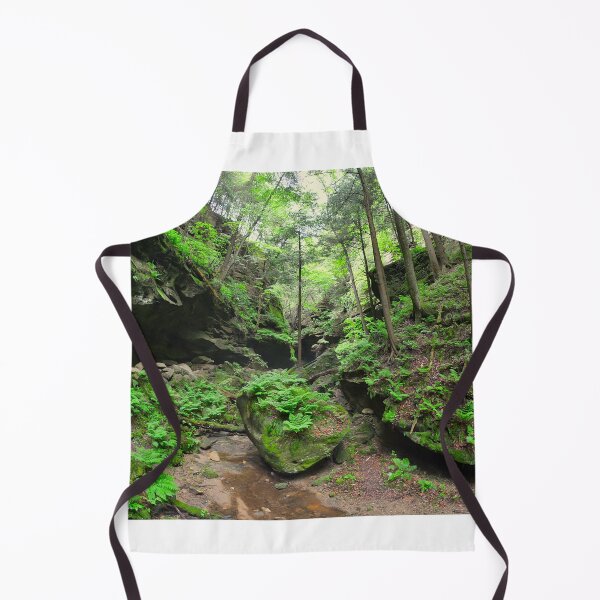 Item preview, Conkle's Hollow State Nature Preserve 2 designed and sold by LisaWootenPhoto.