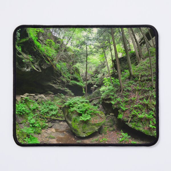 Item preview, Conkle's Hollow State Nature Preserve 2 designed and sold by LisaWootenPhoto.