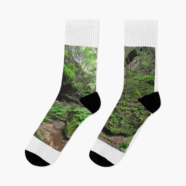 Item preview, Conkle's Hollow State Nature Preserve 2 designed and sold by LisaWootenPhoto.