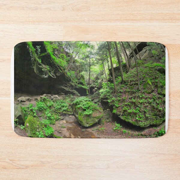 Item preview, Conkle's Hollow State Nature Preserve 2 designed and sold by LisaWootenPhoto.