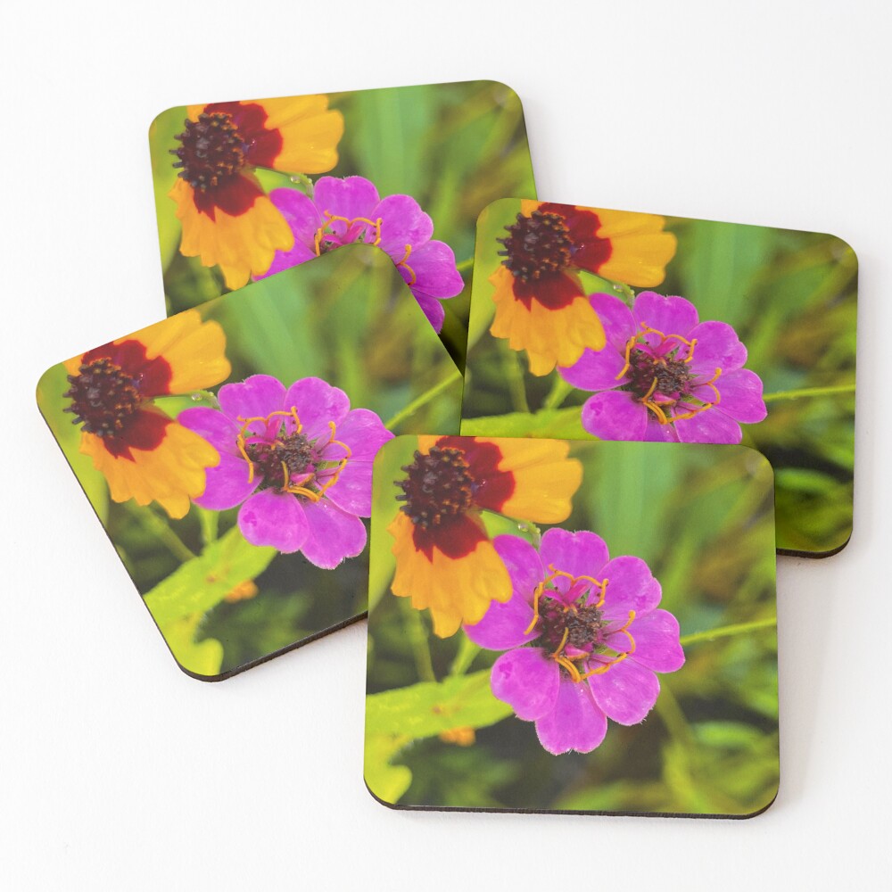 Item preview, Coasters (Set of 4) designed and sold by Racie596.